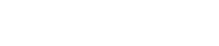 VEGARIX